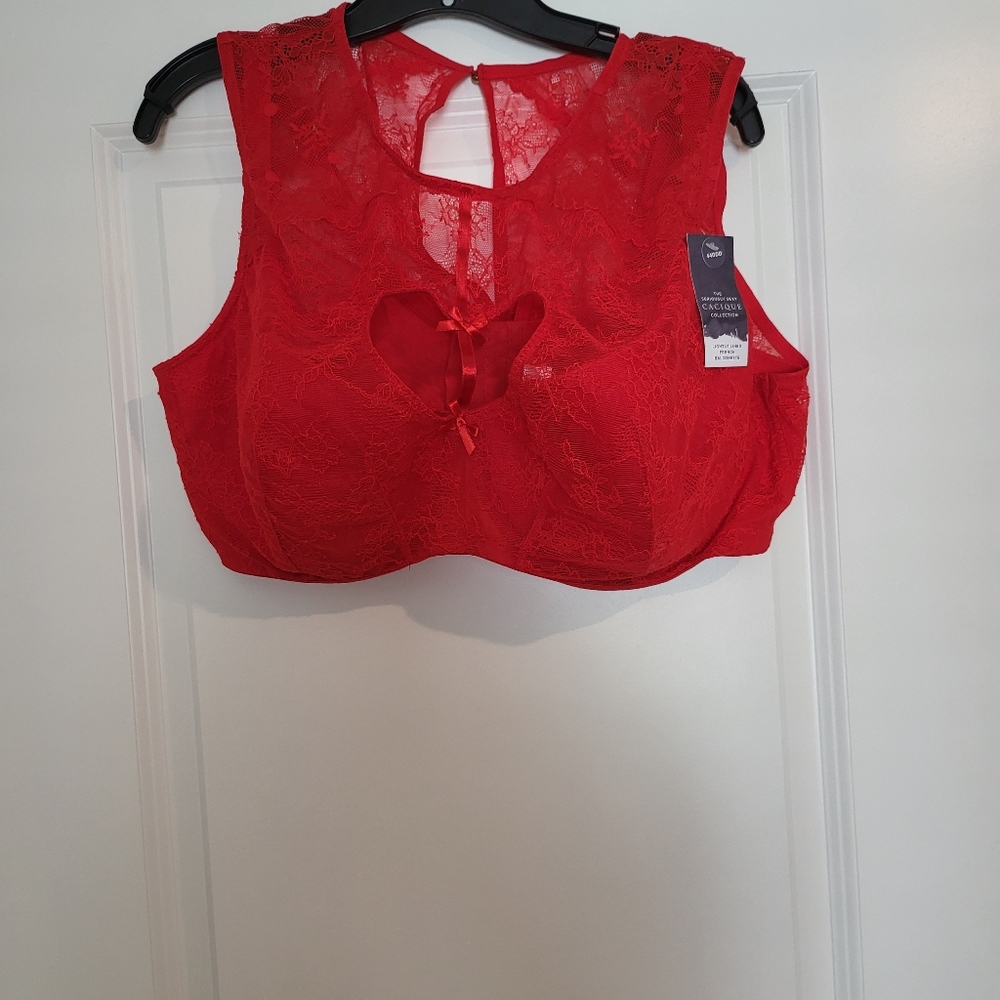 Extended Size Bra